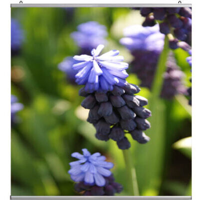 Poster profiel 200 cm