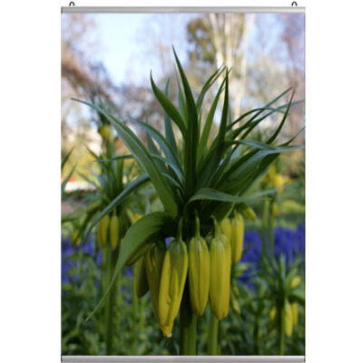 Poster profiel 84 cm